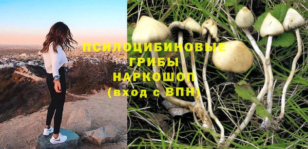 трава Абинск
