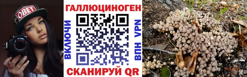 хочу наркоту  Адыгейск  Галлюциногенные грибы мухоморы 